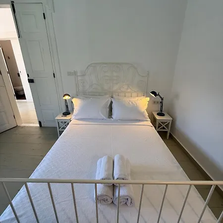 فيلة 1860 Evleri *